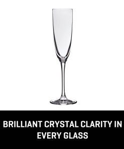 Alternative view of Lucaris Tokyo Temptation Champagne Glasses (4-Pieces), 5-ounce, Dishwasher Safe, Lead-free Crystalline